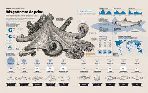 Fish Infographic, Urban Spaces Design, Fish Illustrations, Site Analysis Architecture, Animal Infographic, Scientific Poster, Infographic Inspiration, Research Poster, Paper Art Sculpture