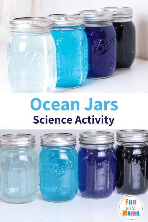 Ocean Layers, Science Activity For Kids, Layers Of The Ocean, Science Demonstrations, Cool Science Fair Projects, Craft Recipes, Experiments Kids, Science Week, Science Stem