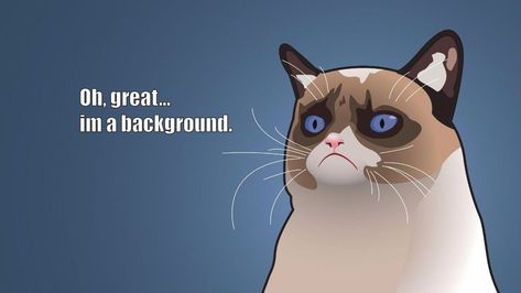 #meme #memes #memesdaily  #memepage #memelord #memeoftheday #memeita #memesfordays #memesita #memeaccount Grumpy Cat Disney, Grumpy Cat Art, Grumpy Cat Birthday, Grumpy Cat Meme, Grumpy Cat Quotes, Sf Wallpaper, Meme Background, Cat Jokes, Cat Background