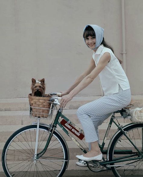 Audrey Hepburn Style Outfits, Audrey Hepburn Outfit, Aubrey Hepburn, Audrey Hepburn Inspired, Pattie Boyd, Audrey Hepburn Photos, French Outfit, Audrey Hepburn Style, Cecil Beaton