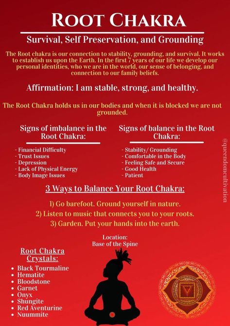 Chakra Guide, Chakra For Beginners, Chakra Balancing Meditation, Sacral Chakra Healing, The Root Chakra, Chakra Healing Meditation, Chakra Health, Root Chakra Healing, Spiritual Psychology