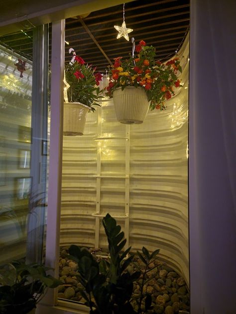 Window Well Garden Basement, Window Seal Ideas Decor Bedroom, Egress Window Decorating Ideas, Basement Window Well Ideas Decor, Window Well Catio, Window Well Ideas Basement, Window Well Ideas Plants, Window Well Decorating Ideas Plants, Window Well Garden