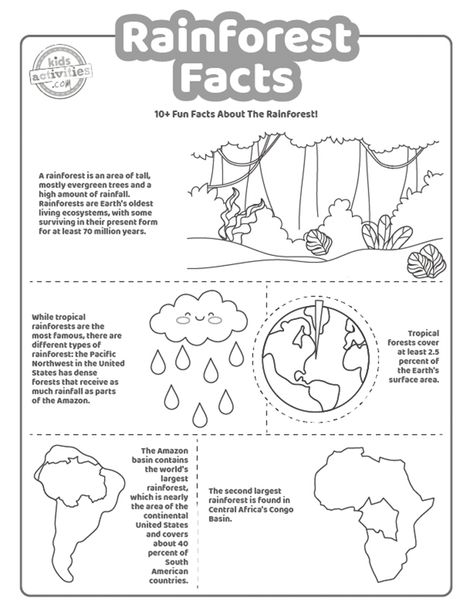 Brazil Coloring Pages, Rainforest Facts For Kids, Rainforest Worksheets, Rainforest Preschool, Rainforest Facts, Brazil Facts, Butterfly Facts, Dolphin Facts, Forest Coloring Pages