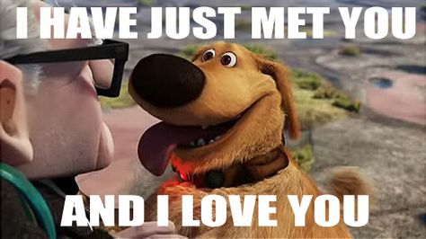 Doug - I have just met you and I love you. Doug From Up, Doug The Dog, Disney Sidekicks, Talking Dog, Pixar Films, Reservoir Dogs, Disney Pixar Up, Disney Up, Disney Dogs