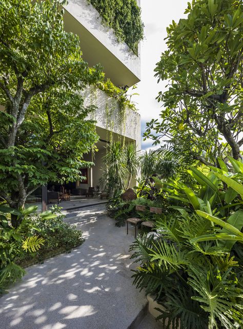 Tropical Landscape Design, Modern Tropical House, Tropical Garden Design, Tropical Landscape, Modern Tropical, Town House, Interior Garden, Tropical Landscaping, Modern Landscaping