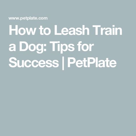 Puppy Leash Training, Leash Training Puppy, Loose Leash Walking, Train A Dog, Puppy Leash, House Training Dogs, Good Citizen, Leash Training, Tips For Success