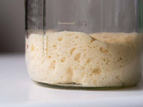 What are the best containers for storing sourdough starter and discard? Yeast Bread Starter, Best Sourdough Starter Recipe, Baking Conversion Chart, Sourdough Cinnamon Rolls, Baking Conversions, Sourdough Bread Starter, Bread Container, Banana Pancakes Recipe, Bread Starter