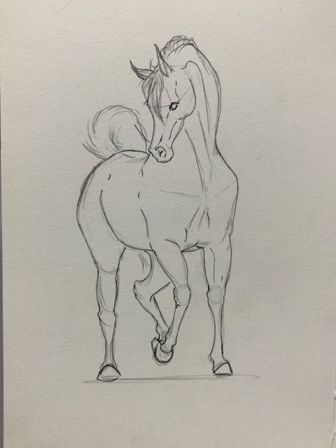 Sketch 
Quick sketch 
Horse sketch
Horse sketching 
Arabia horse
Black colour 
Black color 
Horse movement 
Walking horse 
Black and white Cartoon Horse Sketch, Arabian Horse Sketch, Arabian Drawing, Horse Drawing Simple, Horse Easy Drawing, Arabian Horse Drawing, Horse Outline, Arabian Horse Art, Horse Art Drawing