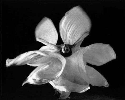 Loie Fuller, Isadora Duncan, Alfred Stieglitz, Lighting Techniques, Modern Dance, Dance Photography, White Photo, Belle Epoque, A Flower