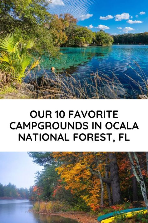 OUR 10 FAVORITE CAMPGROUNDS IN OCALA NATIONAL FOREST - FL Ocala National Forest, Forest Home, Forest Camp, Best Campgrounds, Camping Destinations, Off Roading, Camping Spots, Rv Camping, Camping Life