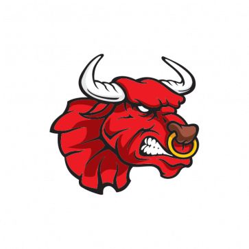 Angry Bull Logo, Angry Bull Tattoo, Angry Bull, Earth Animals, Portrait Drawing Tips, Sports Branding, Sport Branding, Mirror Decal, Bull Logo