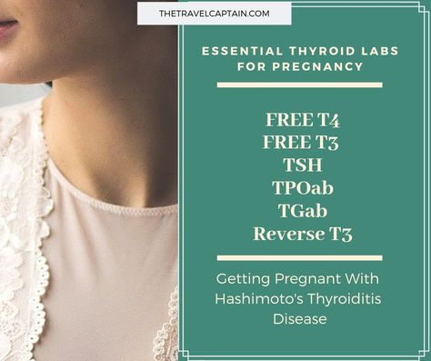 Getting Pregnant with Hashimoto's: Immediate Steps for Before & After Getting Pregnant With Hashimotos, Best Prenatal Vitamins, Thyroid Medication, Lower Inflammation, Endocrine Disruptors, Thyroid Function, Thyroid Hormone, Full Picture, Endocrine System