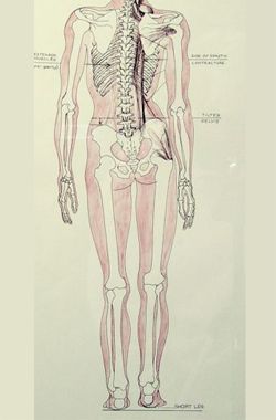 Have you been told that you have a leg length discrepancy? 40-70% runners have, so I know this is a big problem. The common remedy is to simply put a heel lift in on the shorter side. But is there any substance to this? And what’s more, is there any evidence that treating a leg length discrepancy with a heel lift actually results in a better outcome? We examine the research and what we found may surprise you: http://runnersconnect.net/running-injury-prevention/leg-length-discrepancy-running/ Leg Length Discrepancy, Running Injury Prevention, Psoas Release, Calf Cramps, Hip Problems, Running Injuries, Back Pain Remedies, Muscle Imbalance, Hamstring Stretch