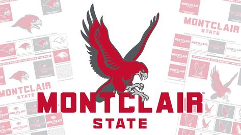 Montclair State University, New Branding, College Logo, Brand Management, Management Tips, Hawks, State University, University, Branding