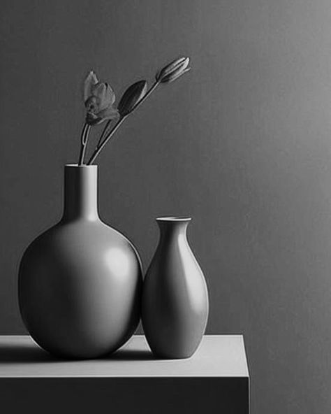 Black And White Still Life Photography, Cloth Still Life, Black And White Objects, Aesthetic Still Life Photography, Still Life Vase, Still Life Pictures, Photography Black And White, Deeper Meaning, Still Life Photos