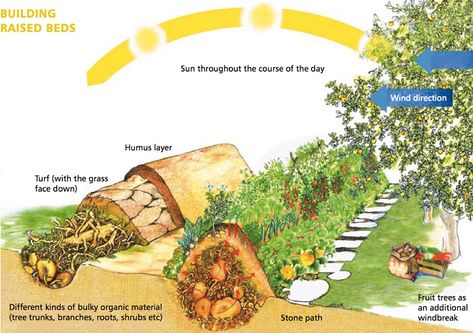 Vegetable Garden Raised Beds, Permaculture Gardening, Permaculture Design, Growing Fruit, Raised Bed, Veggie Garden, Farm Gardens, Growing Food, Edible Garden