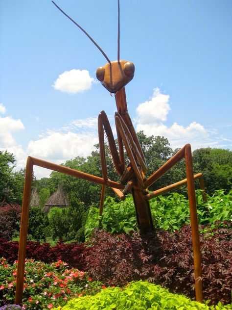 Big bug! #sculpture Garden Sculpture Ideas Diy, Giant Bugs Diy, Vbs Magnified, Cheekwood Nashville, Bug Sculpture, Monumental Vbs, Diy Butterflies, Big Bugs, Forest Festival