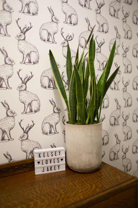 Hoppin' Mudroom Makeover with Walls Need Love | Kelsey Bang Wallpapered Mudroom, Jackalope Wallpaper, Jackalope Decor, Dog Wallpaper Laundry Room, Deer Peel And Stick Wallpaper, Cute Jackalope, Small Mudroom Ideas, Mudroom Makeover, Need Love