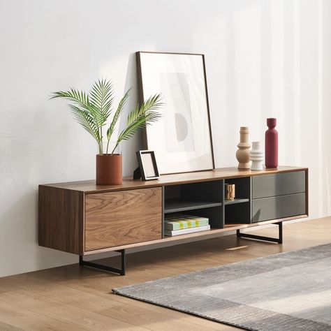 Tv console modern