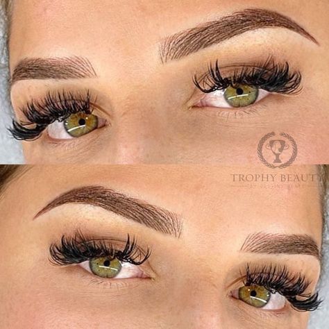 Permanent Brows Tattoo, Powder Microblading Eyebrows, Microblading Eyebrows Brunette, Eyebrow Shape And Tint, Tattoo Brows Permanent Makeup, Brow Tattoo Permanent Makeup, Eyebrow Microblading Shapes, Powder Eyebrows Permanent, Phi Brows Microblading