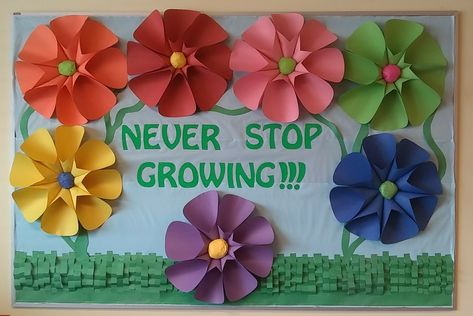 Never Stop Growing!! 💜 Spring Board Never Stop Growing, Spring Board, Back To School Bulletin Boards, Spring Boards, School Bulletin Boards, Bulletin Boards, Bulletin Board, First Grade, Back To School