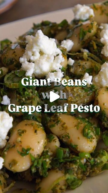 Diane Kochilas on Instagram: "GIANT BEANS WITH GRAPE LEAF PESTO ⁠ ⁠ Grape leaves are a staple of the #GreekKitchen. Most people associate them  with #dolmades. But #grapeleaves are incredibly versatile, adding a unique flavor component to a variety of dishes, both traditional and modern. You can wrap whole fish destined for the grill in grape leaves, swaddle a meatloaf with them, use them as a wrapper for an ancient yogurt-filled pie, and pulverize them together with a few other delicious ingredients into a vibrant #PESTO! ⁠ ⁠ Yes, you heard right!❗️This neo-traditional #GreekRecipe from season 1️⃣ of @MyGreekTable marries classic ingredients like grape leaves and #feta into a tangy pesto that will forever change the way you think of grape leaves. ⁠ ⁠ Curious to try this Greek-inspired pes Grape Leaf Recipes, Dolmathes Recipe Greek, Vegetarian Grape Leaves, Greek Grape Leaves, Lebanese Grape Leaves, Grape Leaves, Greek Recipes, Meatloaf, Pesto