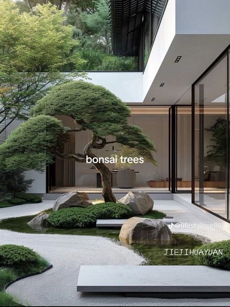 Bonsai Tree Garden, Outdoor Kitchen Garden, Garden Sitting Area, Bonsai Design, Weddings Outdoor, Japanese Garden Landscape, Plants For Home, Zen Garden Design, Courtyard Gardens Design