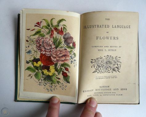 Antique Victorian book. 'The ... Plant Books, The Language Of Flowers, Antique Aesthetic, Victorian Books, Plant Book, Victorian Flowers, Beautiful Book Covers, Typography Layout, Little Library