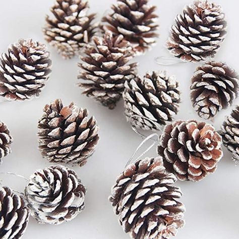 ZYP 24Pcs Natural Pine Cones, 2 Inch Christmas Rustic Pine Cones Bulk Ornaments with String for Xmas Thanksgiving Fall Party Craft Decorations #afflink Thanksgiving Tree, Rustic Christmas Ornaments, Christmas Rustic, Pinecone Ornaments, Craft Decorations, Cones Crafts, Pine Cone Crafts, Fall Party, Themed Crafts