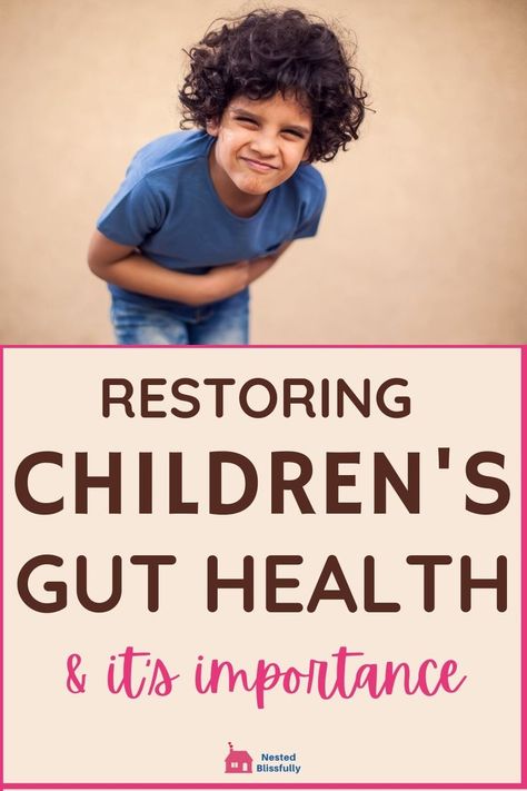 What is gut health? What kind of food items should be consumed to have a healthy gut system and how to have a seamless digestion process. Healthy Digestion Diet, Digestive System For Kids, Intestinal Cleanse, Easy To Digest Foods, Healthy Gut Recipes, Heal Leaky Gut, Gut Healing Recipes, Ways To Stay Healthy, Break The Cycle