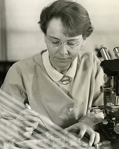 13 Women Who Made Scientific History | BestColleges Woman Scientist, Lise Meitner, Barbara Mcclintock, Mighty Girl, Women In Stem, Womens Equality, Gender Equity, Women Scientists, Doctorate