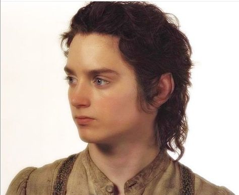 Lotr Trilogy, Lotr Cast, Gandalf The Grey, The Hobbit Movies, Heart Throb, Frodo Baggins, Elijah Wood, Lotr Art, Thranduil