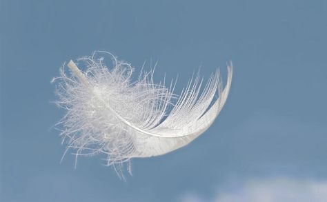 Light as a feather. Fluffy white feather floats above blue summer sky , #ad, #Fluffy, #white, #Light, #feather, #summer #ad Diy Angel Wings, Feather Photography, Quiet Mind, Course In Miracles, A Course In Miracles, Ange Demon, Light As A Feather, Magic Aesthetic, White Sky