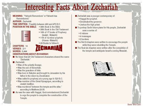 Interesting Facts about Zechariah Zechariah Bible Study, Christian Study, Bible Charts, Bible Overview, Bible Books, Bible Study Books, Verse Mapping, Bible Topics, Personal Bible Study