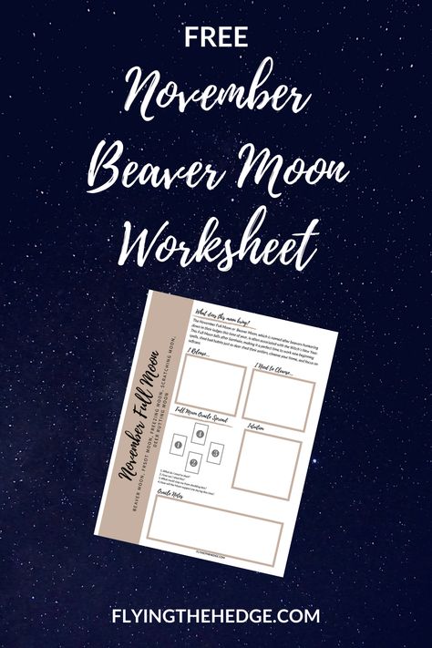 November Beaver Moon Worksheet Moon Worksheet, December Full Moon, Full Moon Tarot, Witch Grimoire, Corn Moon, Kartu Tarot, Thunder Moon, Planning Worksheet, Sturgeon Moon