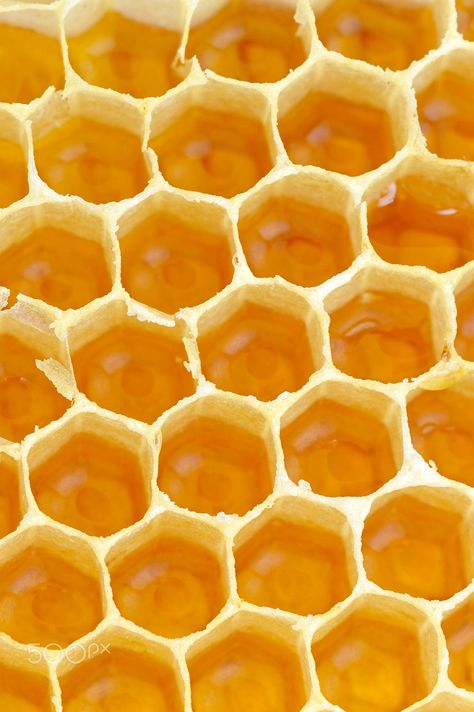 sweet honeycombs with honey, macro Theme Pics, Yellow Aesthetic Pastel, Hufflepuff Aesthetic, Rainbow Aesthetic, Orange Aesthetic, Bee Art, Yellow Walls, Yellow Wallpaper, Yellow Aesthetic