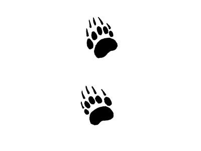 Bear tracks Bear Track Tattoo, Small Bear Paw Tattoo, Bear Paw Print Tattoo, Canada Nails, Paw Ideas, Traditional Bear Tattoo, Grizzly Bear Tattoos, Black Bear Tattoo, Bear Claw Tattoo