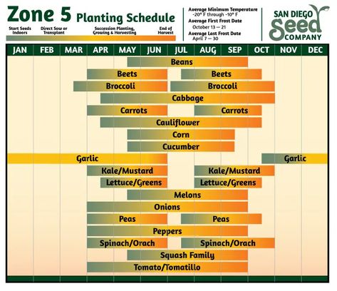 Flower Planting Guide, Planting Schedule, Vegetable Planting Guide, Growing Calendar, Flower Planting, When To Plant Vegetables, Planting Calendar, Green Lettuce, Planting Guide