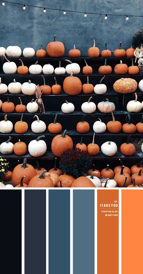 Blue And Orange Colour Palette, Blue Orange Color Palette, Orange And Blue Color Palette, Blue And Orange Color Scheme, Orange And Blue Combination, Color Scheme Blue, Pomegranate Color, Halloween Color Palette, Orange Color Scheme