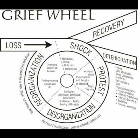 The grief wheel. Steps people go through after a tragedy. Counseling Resources, Motiverende Quotes, After Life, Writing Resources, School Counseling, Therapy Activities, Coping Skills, Writing Help, Social Work