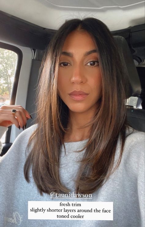 Full Custody, Rambut Brunette, Brown Hair Inspo, Straight Hair Cuts, Hairstyles For Layered Hair, Haircuts For Medium Hair, Haircuts Straight Hair, Long Layered Hair, Haircuts For Long Hair