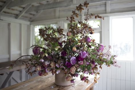 Two weeks ago we sent flowers down to floral designer McKenzie Powell for a big wedding. It’s always so rewarding to see what a true artist does with our blooms. Here palette was purple, chocolate and plum, and after seeing pictures of her end arrangements I couldn’t help but give it a whirl myself. With just a tiny window of time before we had to leave for the airport, so I could catch my flight to Washington D.C. for a conference, I ran around the yard clipping everything I could find for ... Bar Florals, Cider Cocktail, Arrangement Flowers, Autumn Florals, Fall Centerpieces, Big Bertha, Intimate Dinner, Micro Weddings, Magnolia Blossom