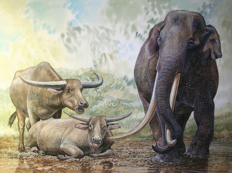 Peter Schouten, Stone Age Animals, Prehistoric Mammals, Prehistoric Wildlife, Prehistoric World, Prehistoric Art, Paleo Art, Big Animals, Arches Paper