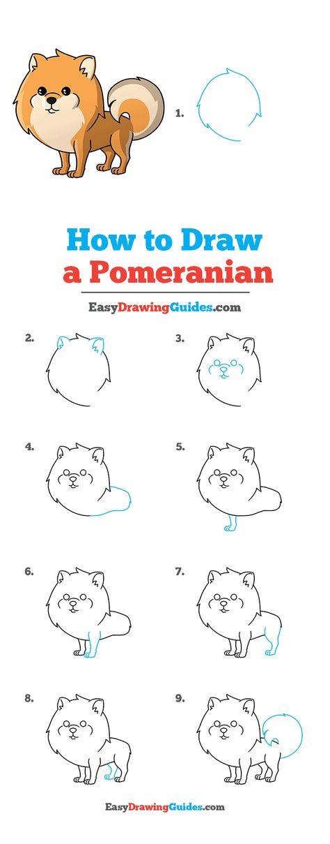 How to Draw a Pomeranian - Really Easy Drawing Tutorial How To Draw A Pomeranian Step By Step, Pomeranian Doodle Drawing, Pomeranian Drawing Simple, Pomeranian Drawing, Pomeranian Cartoon, Puppy Drawing Easy, Painting Clipart, Cartoon Dog Drawing, Dogs Watercolor