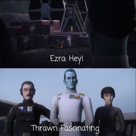 This part cracked me up. Star Wars Rebels Thrawn And Ezra, Thrawn Rebels, Clone Pilot, Sw Rebels, Space Family, Ezra Bridger, Grand Admiral Thrawn, Funny Star Wars Memes, Star Wars Jokes