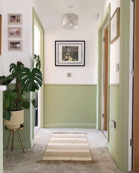 Hallway Colour Ideas, Green Wall Paint Colors, Hallway Colour Schemes, Green Bedroom Paint, Hallway Paint Colors, Green Hallway Ideas, Hallway Paint, Hallway Colours, Green Hallway