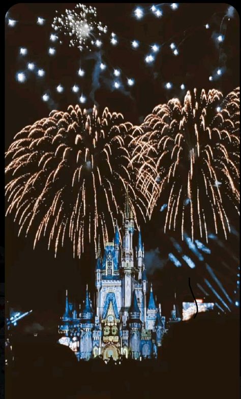 Proposal Fireworks, Disney World Proposal, Castle Show, Disney World Fireworks, Magic Kingdom Fireworks, Disneyland Christmas, Disney Castle, Magic Kingdom, Happily Ever After