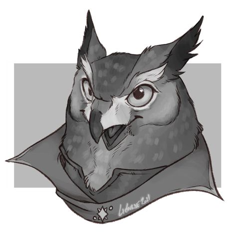 Owlin Dnd, Cute Wolf Drawings, Bird People, Really Cool Drawings, Dungeons And Dragons Characters, Dnd Art, Monster Design, Guy Drawing, Human Art