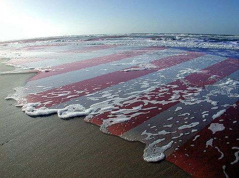 Independance Day, I Love America, Sea To Shining Sea, Let Freedom Ring, Happy Memorial Day, Land Of The Free, Military Life, Old Glory, Happy 4 Of July