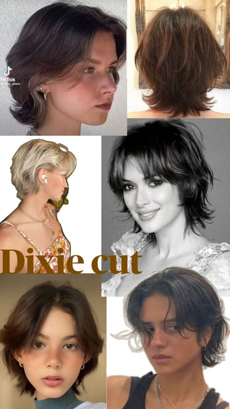 Keira Knightley Hairstyle, Goldie Hawn Short Hair, Oblong Short Hair, Dixie Haircut Women, Short Fuzzy Hair, Thick Straight Hair Haircut Short, Haircut For Big Jawline Women, Low Clip Hairstyle, Heavily Layered Short Hair